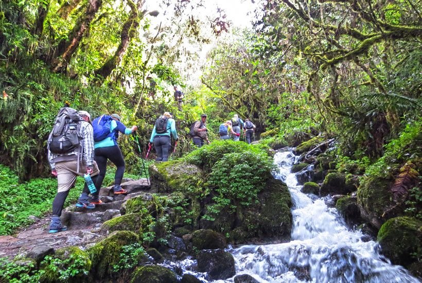 Inca Trail Cloud Forest