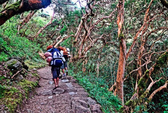 2 day trek to machu picchu