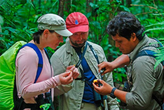 Peruvian Amazon Expedition Tours