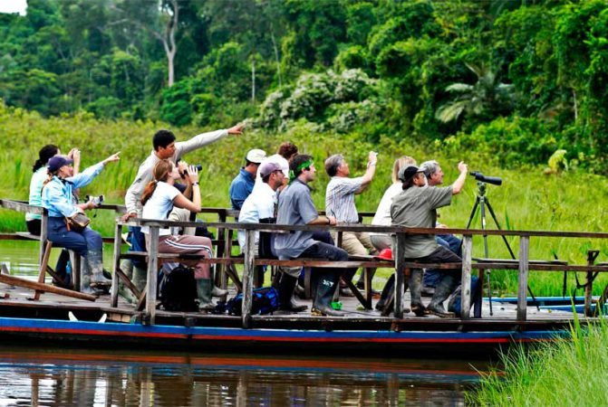 Tambopata Birdwatching tours