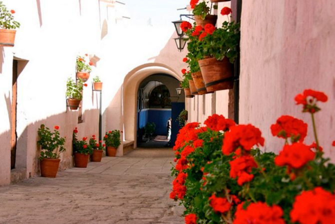 arequipa-walking-tour