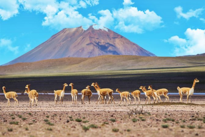 colca tours itinerary