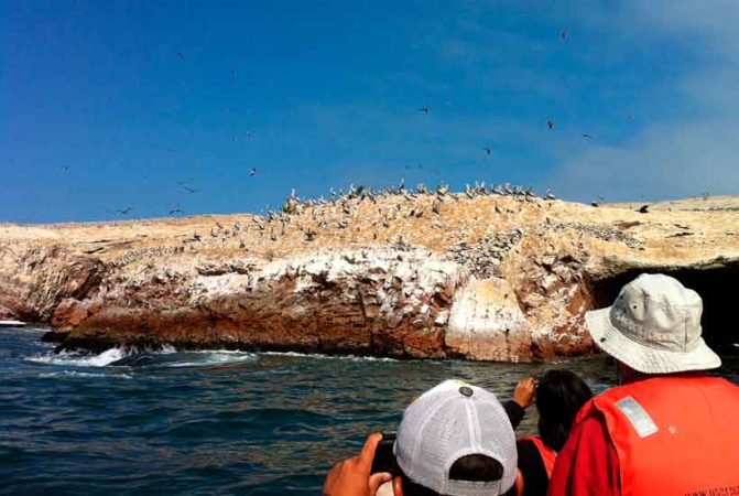 paracas-tours-travel