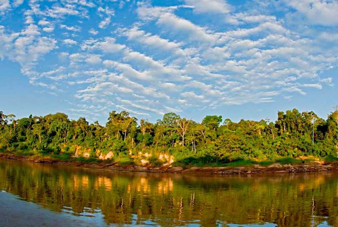 tambopata-reserve-amazon-tours